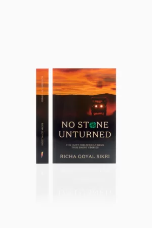 No Stone Unturned - Richa Goyal Sikri